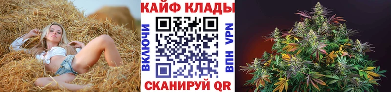 Наркота Петушки COCAIN  ГАШ  АМФ  Каннабис 