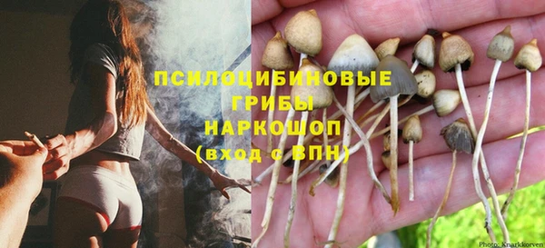 дмт Надым
