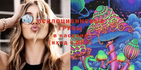 гидропоника Михайлов